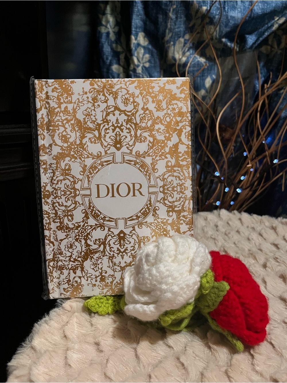 nwt Dior notebook